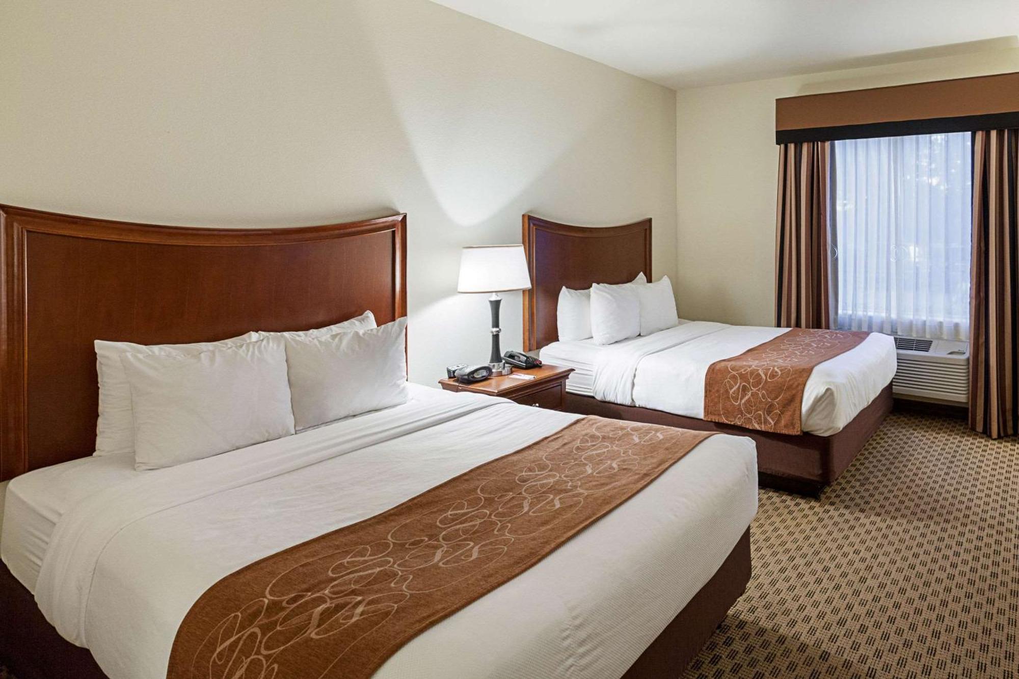 Comfort Suites San Antonio North - Stone Oak Екстериор снимка
